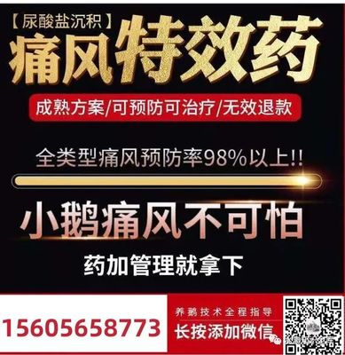 发布招聘信息免费的网站,免费招聘信息发布平台